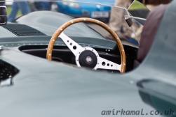 Jaguar D-type shortnose, detail