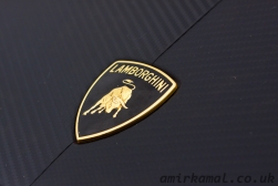 Lamborghini badge detail