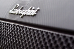 Lamborghini, rear badge detail
